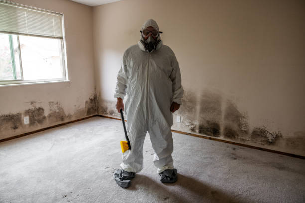 Best Commercial Mold Removal  in Fairfax, IA